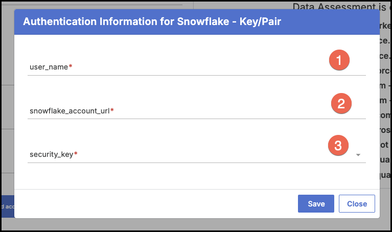 Snowflake_9.png